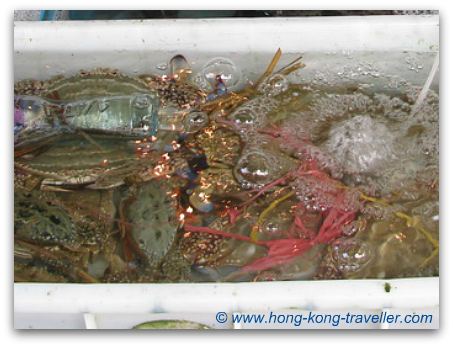 Hong Kong Seafood And Fish Markets