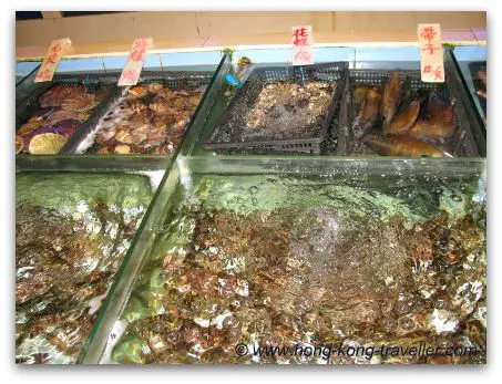 Seafood Restaurants Fish Tanks