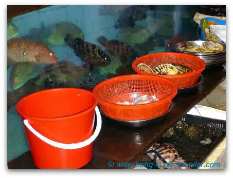 Seafood Restaurants Fish Tanks