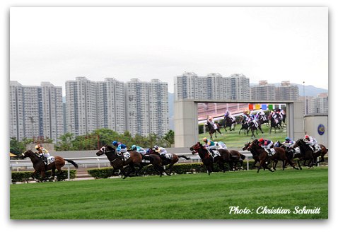 Hong Kong Horse Races at Sha Tin Racecourse