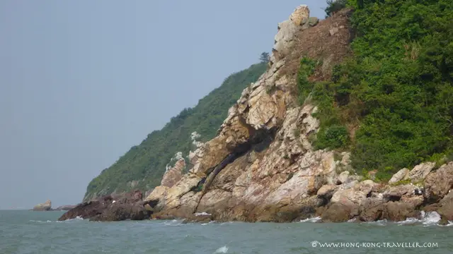 Tai O Boat Ride-Lantau Island