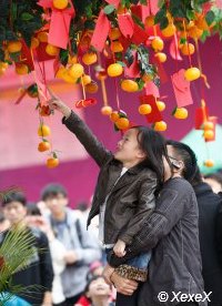 Tossing the wish messages and oranges over the tree, it it catches a branch, your wish will come true.