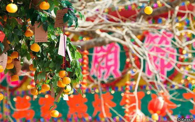 Lam Tsuen Hong Kong Well Wishing Festival