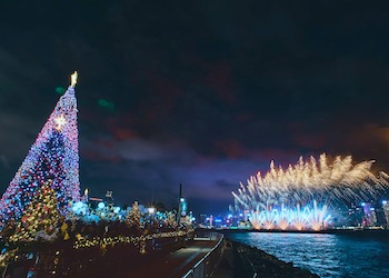 Christmas Fireworks on the Harbourfront