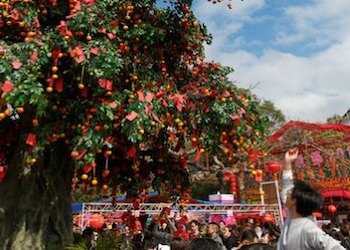 Wishing Tree in Lam Tsuen