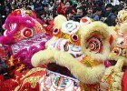 Chinese Lions Chinese Lions